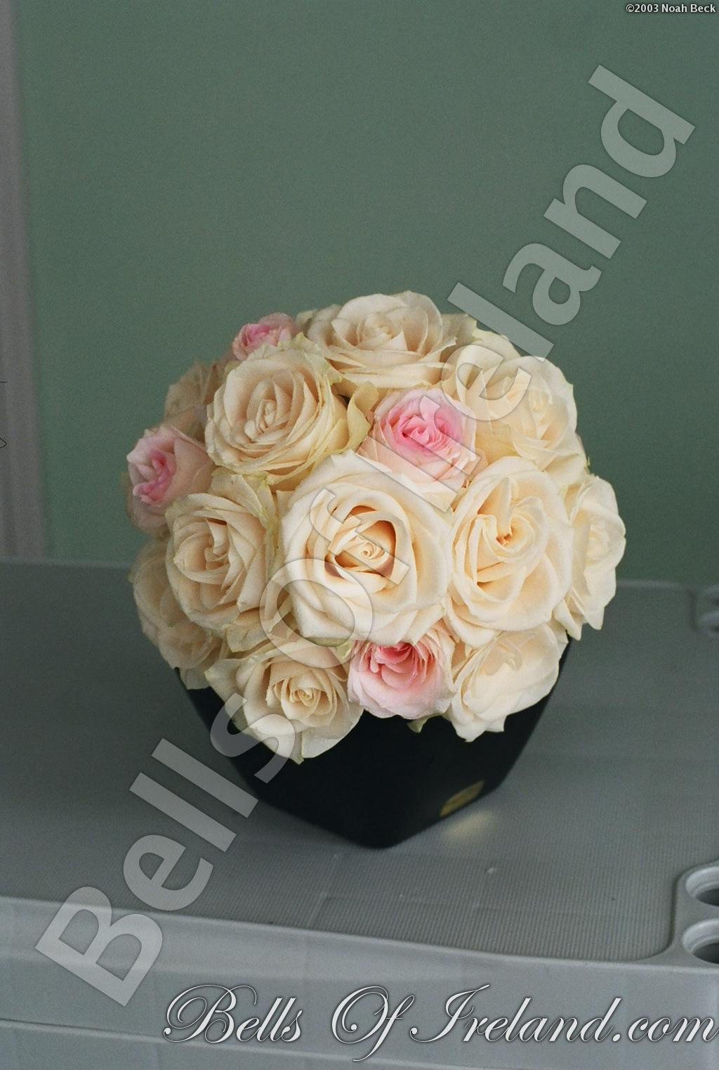 bells-of-ireland-woburn_flowers-14
