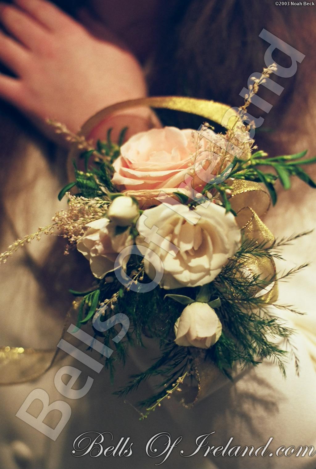 bells-of-ireland_flowers-10