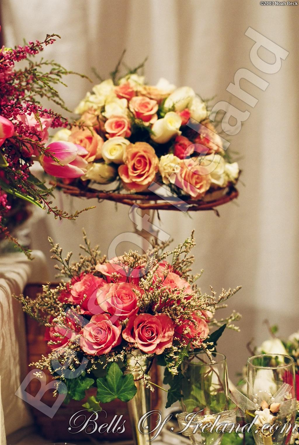 bells-of-ireland_flowers-19