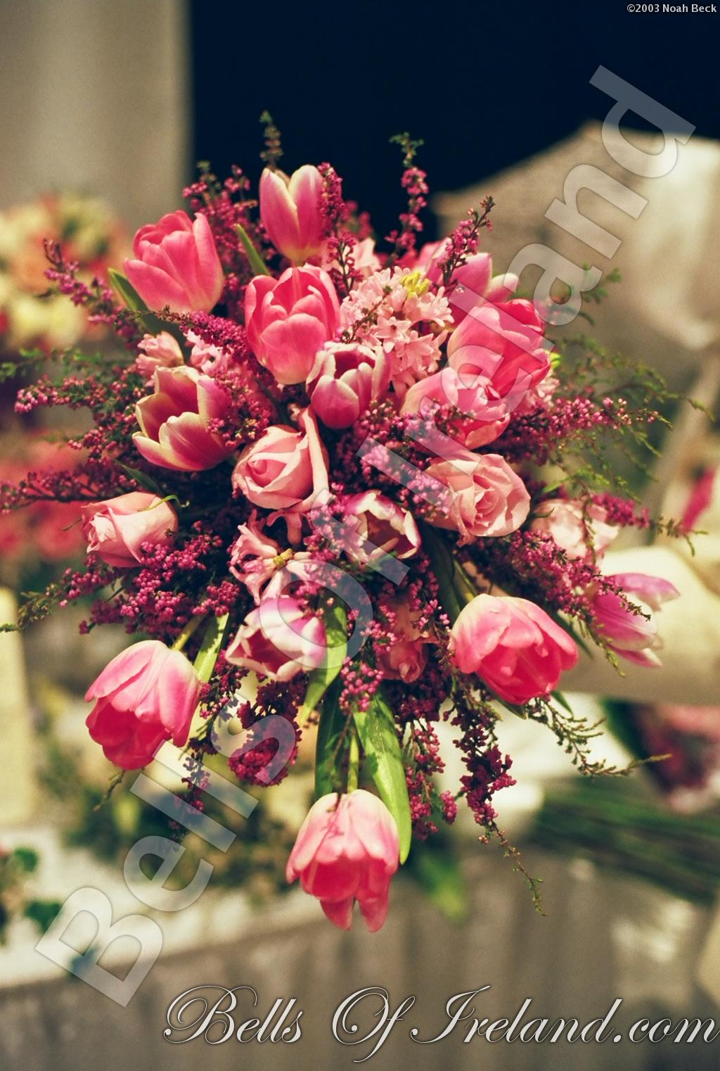 bells-of-ireland_flowers-3