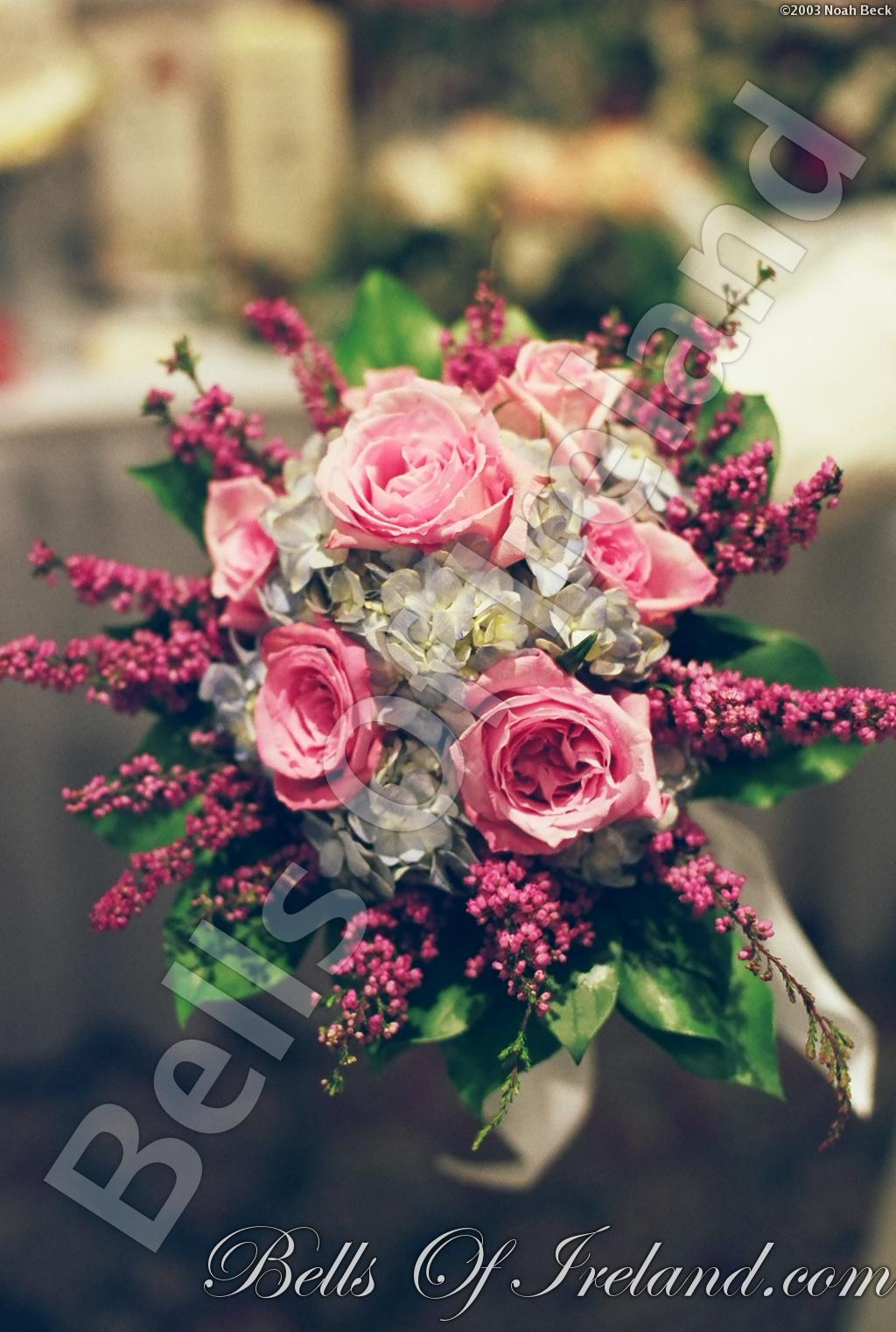 bells-of-ireland_flowers-7