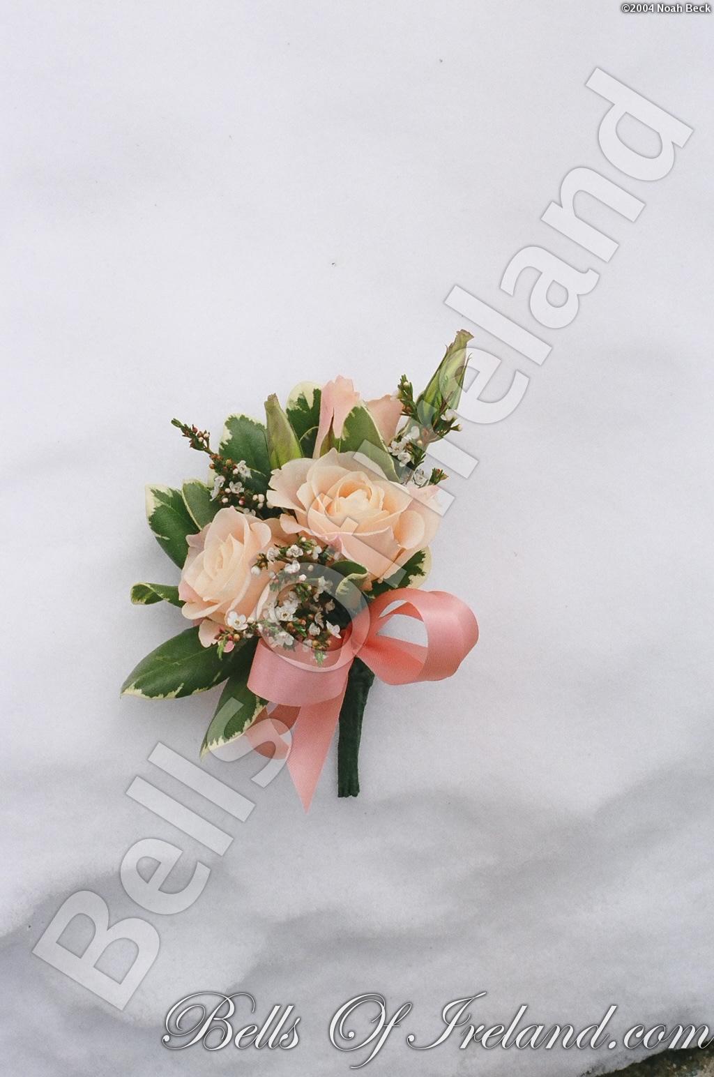 boi_misc-arrangements-21