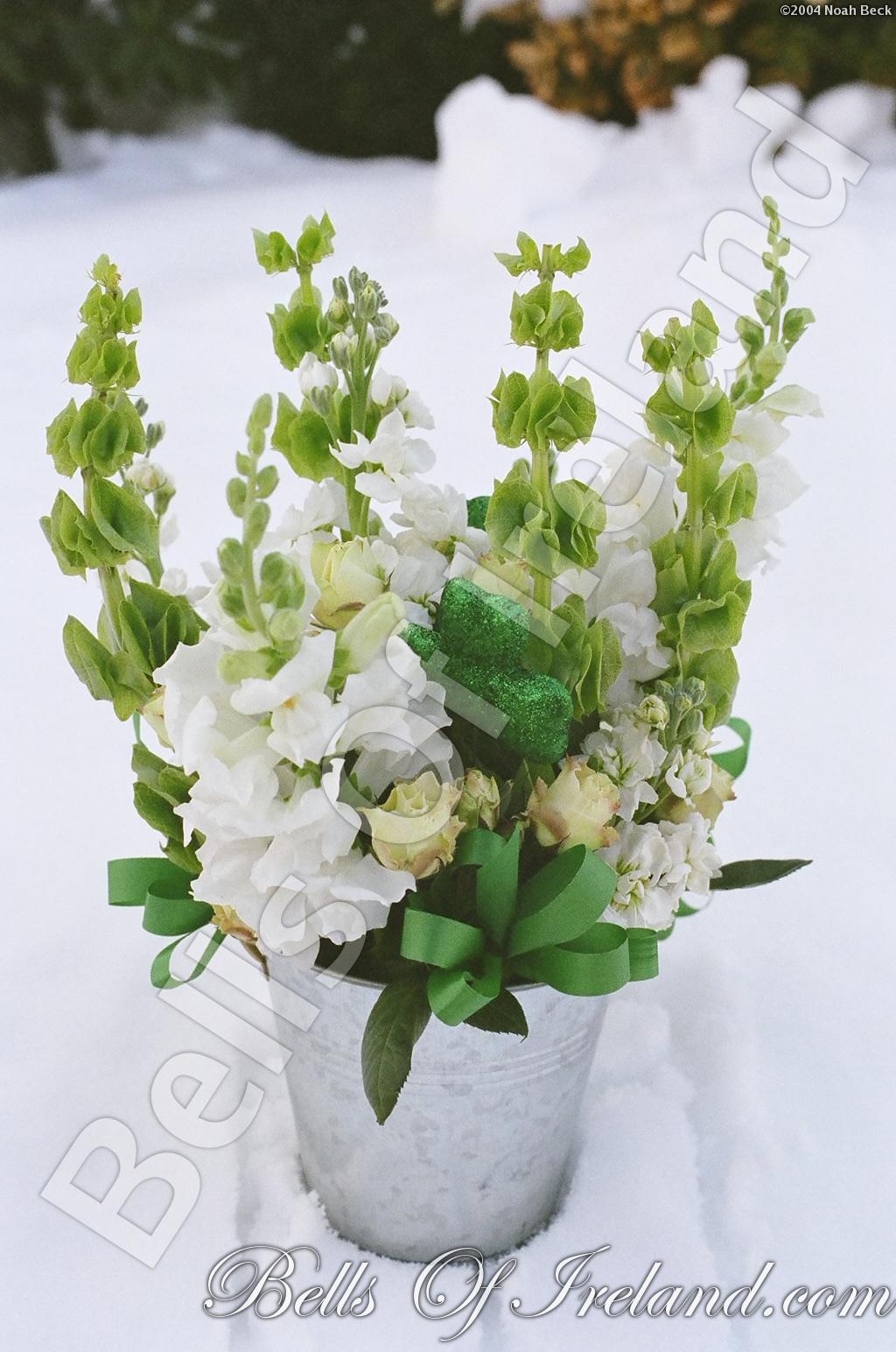 boi_misc-arrangements-7