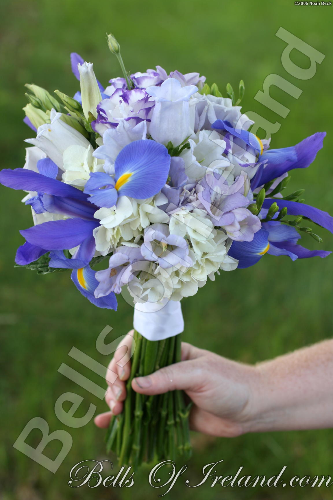 boi_2006b-pic-028