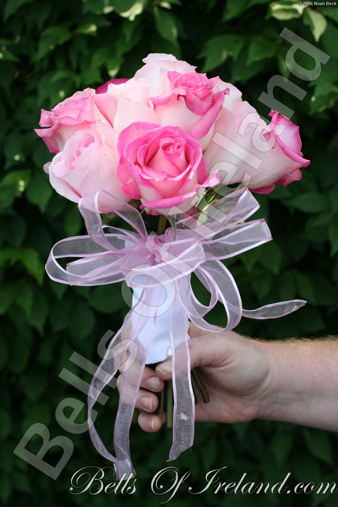 boi_2006b-pic-064