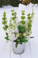 boi_misc-arrangements-7