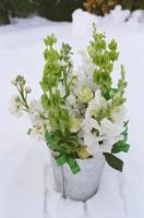 boi_misc-arrangements-8