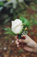 boi_sprsum04-pic095