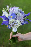 boi_2006b-pic-028