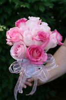 boi_2006b-pic-063