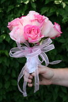 boi_2006b-pic-064