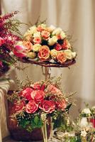bells-of-ireland_flowers-19