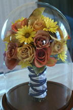 boi_2006b-pic-011