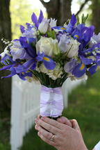boi_2006b-pic-020