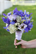 boi_2006b-pic-024