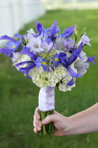 boi_2006b-pic-026