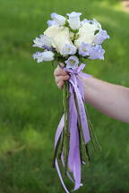 boi_2006b-pic-030
