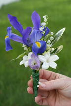 boi_2006b-pic-034