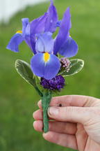 boi_2006b-pic-035
