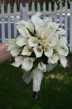 boi_2006b-pic-053