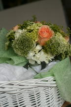 boi_2006b-pic-084