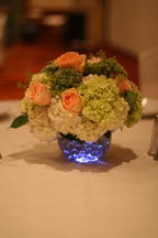 boi_2006b-pic-088