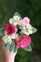 boi_2006b-pic-111