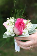 boi_2006b-pic-112