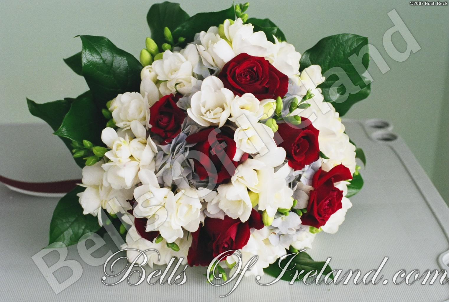 bells-of-ireland-woburn_flowers-1