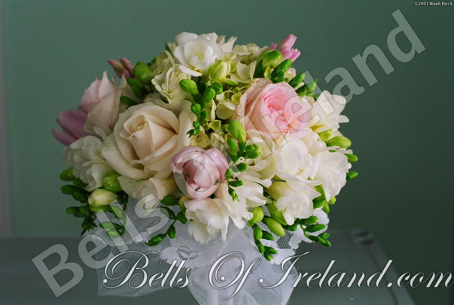 bells-of-ireland-woburn_flowers-11