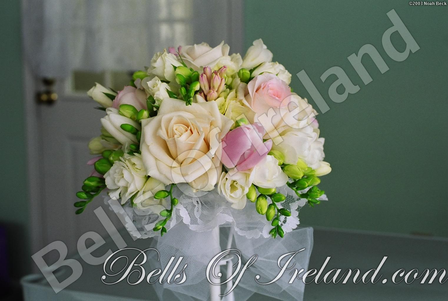 bells-of-ireland-woburn_flowers-12