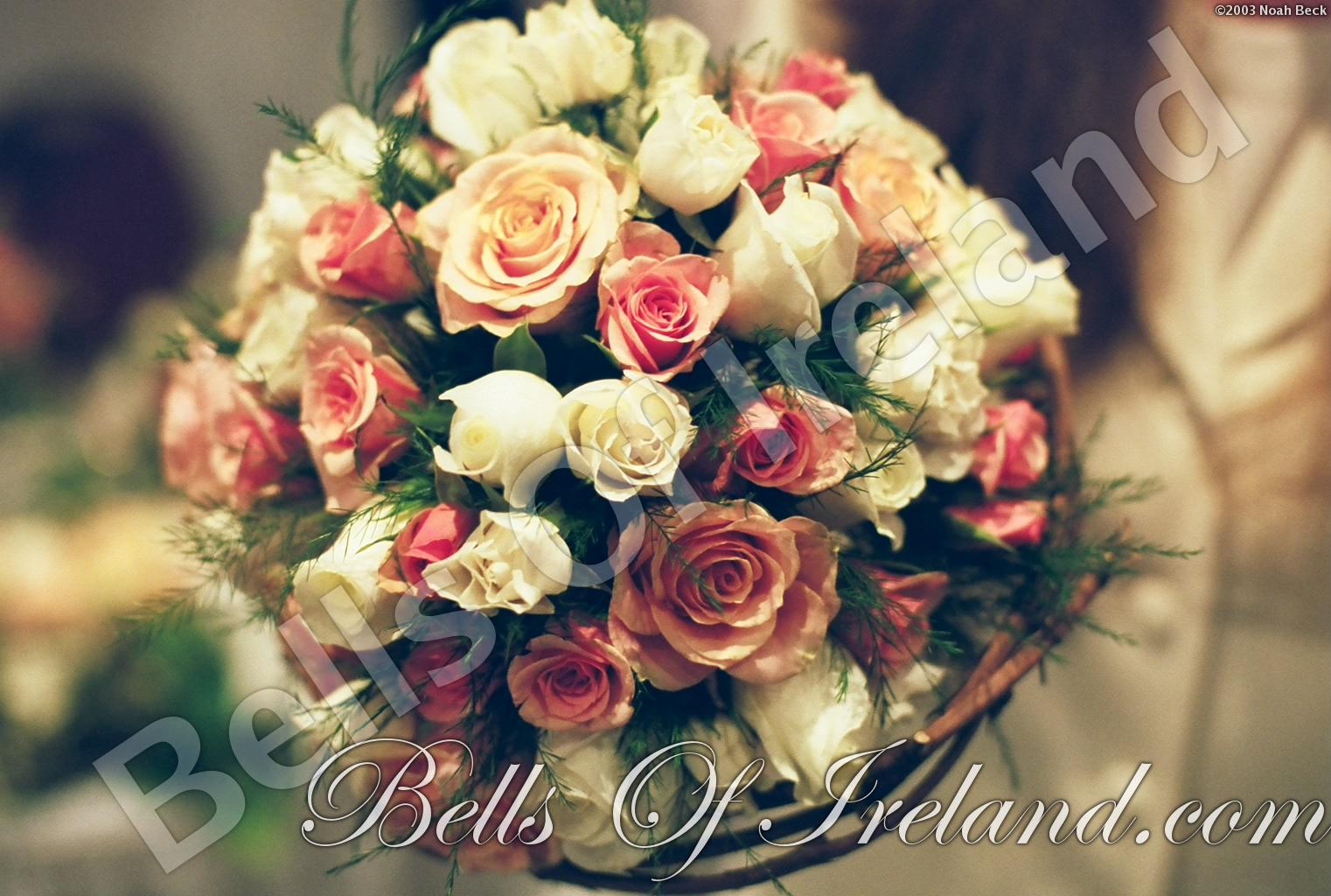 bells-of-ireland_flowers-1
