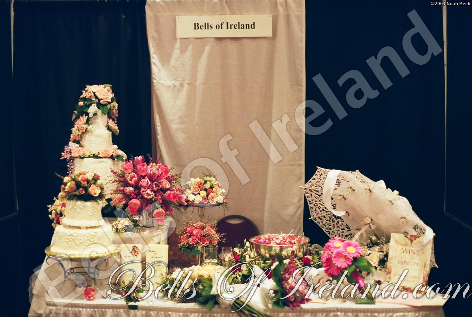 bells-of-ireland_flowers-11