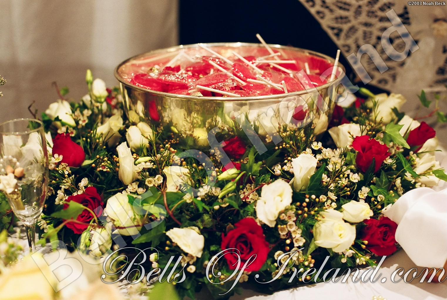 bells-of-ireland_flowers-15