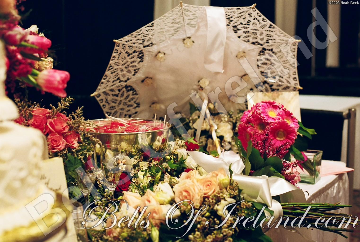 bells-of-ireland_flowers-20