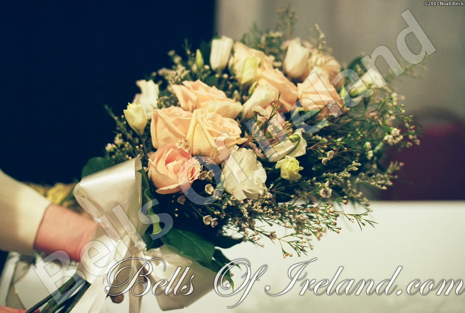 bells-of-ireland_flowers-6