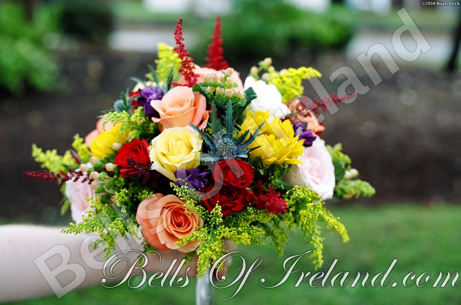 boi-fall04_pic-32