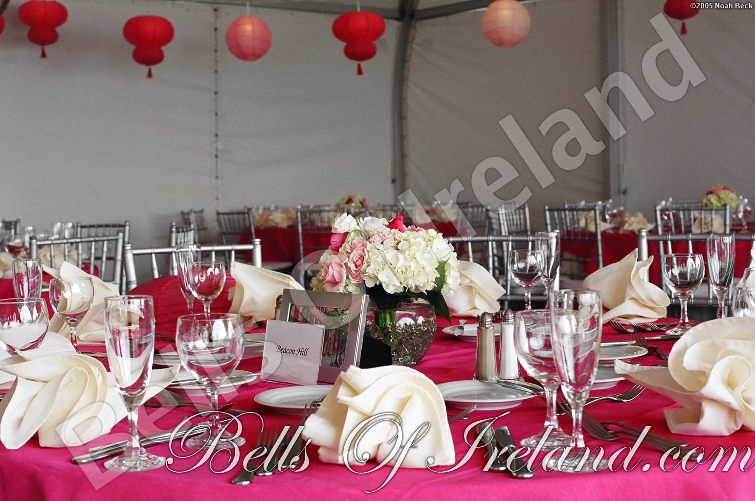 boi-late04-1half05_pic-056