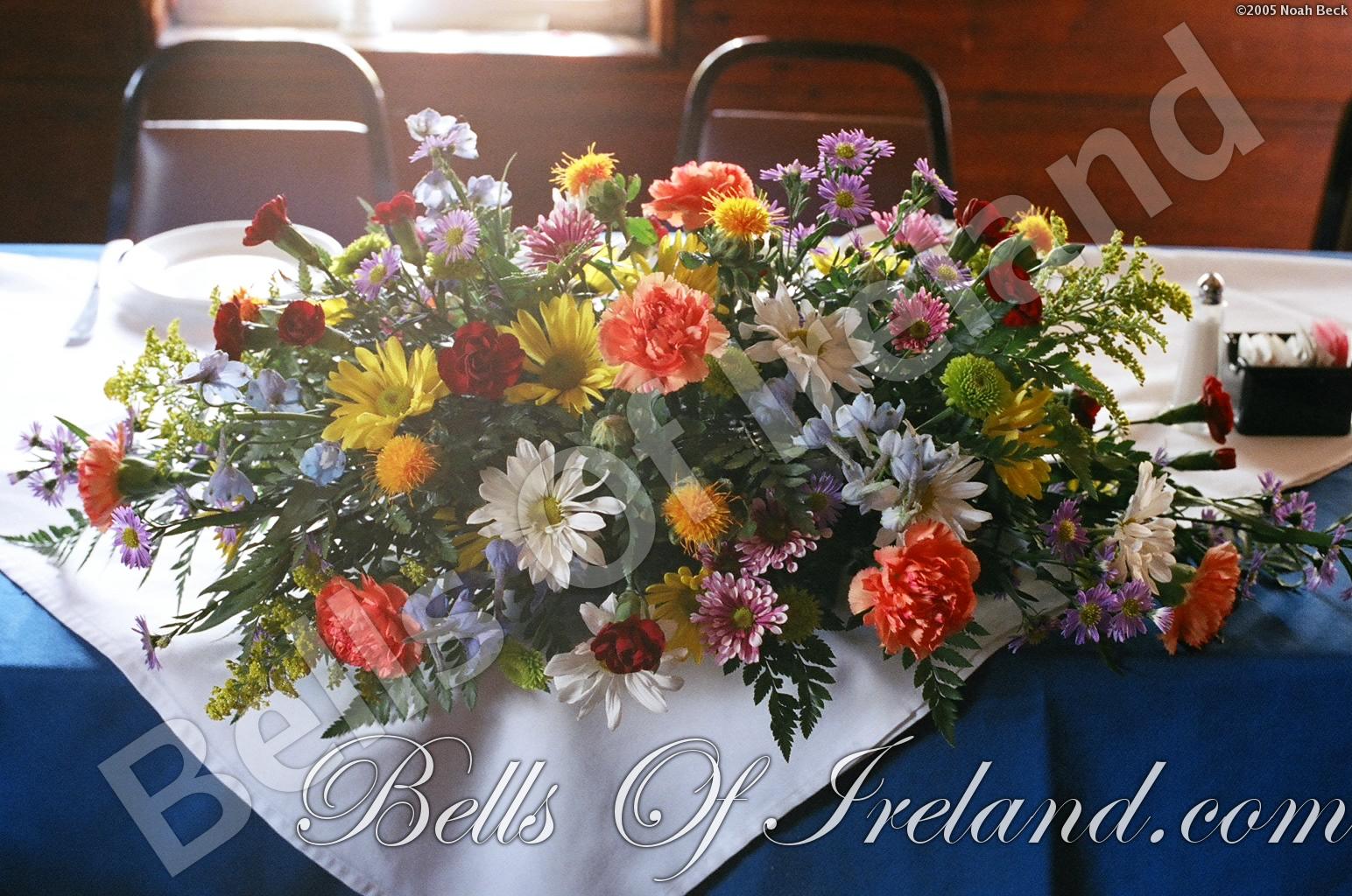 boi-mid05_pic-028