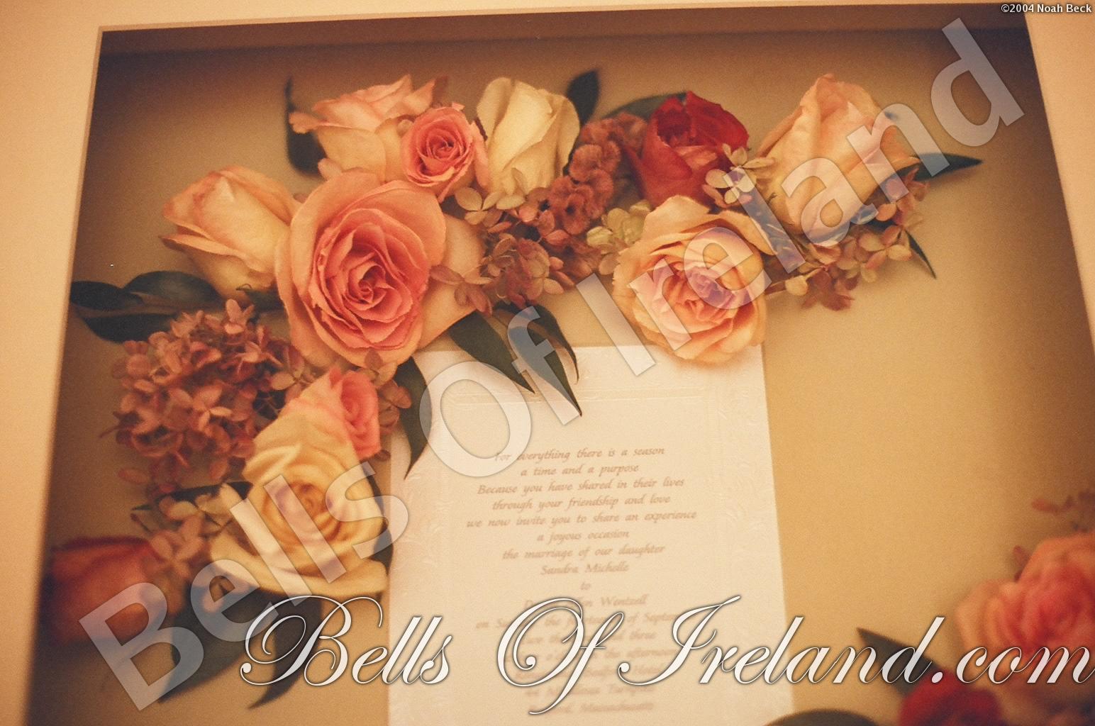 boi_dried-invite-frame-2