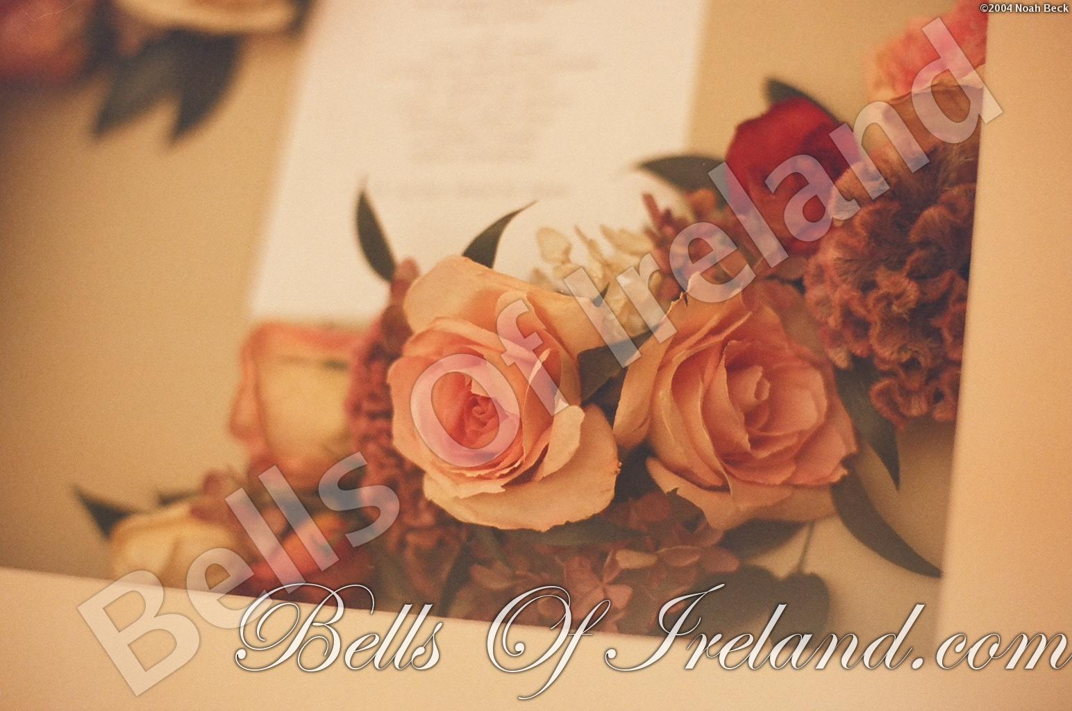 boi_dried-invite-frame-4