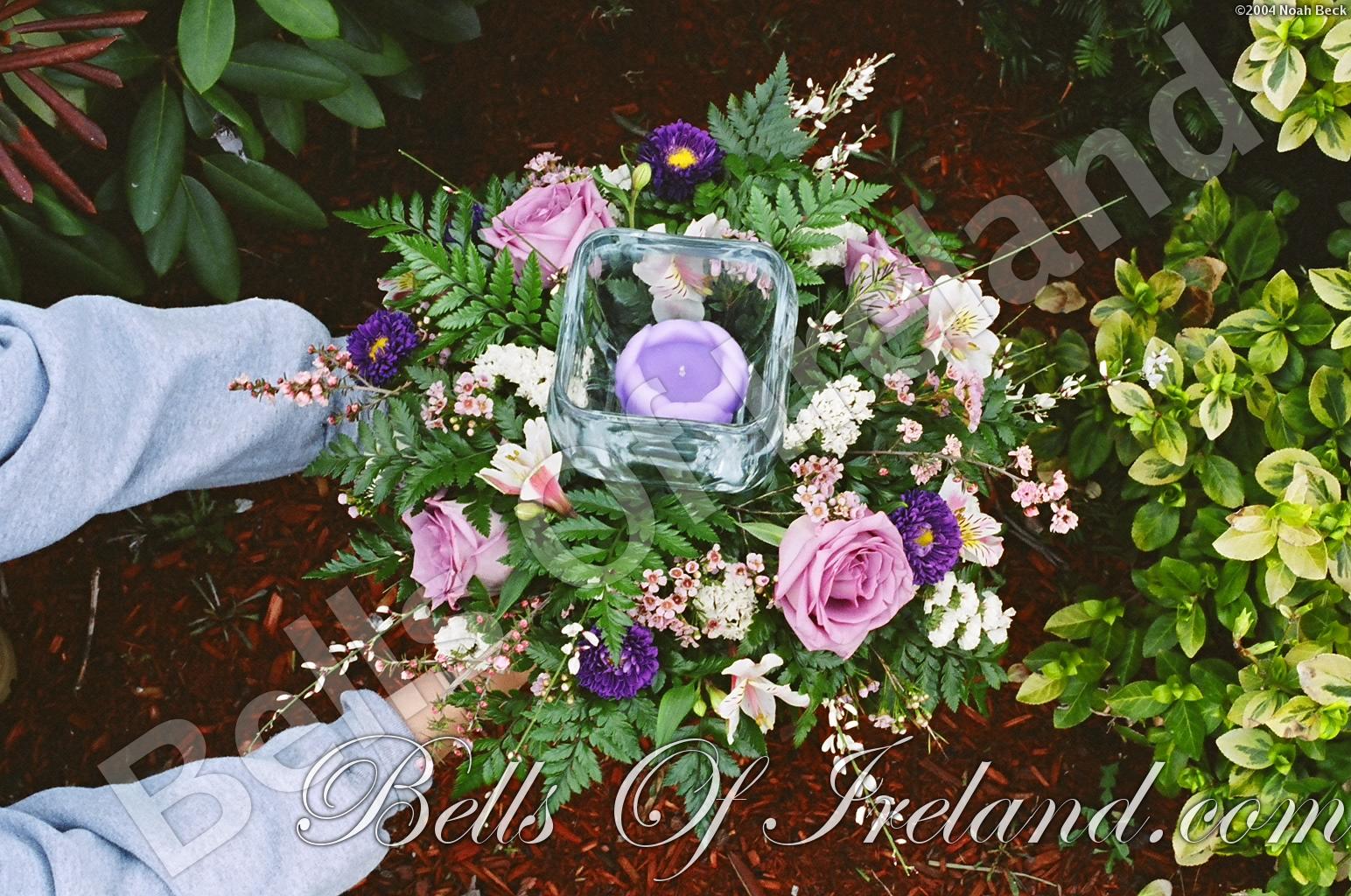boi_sprsum04-pic025