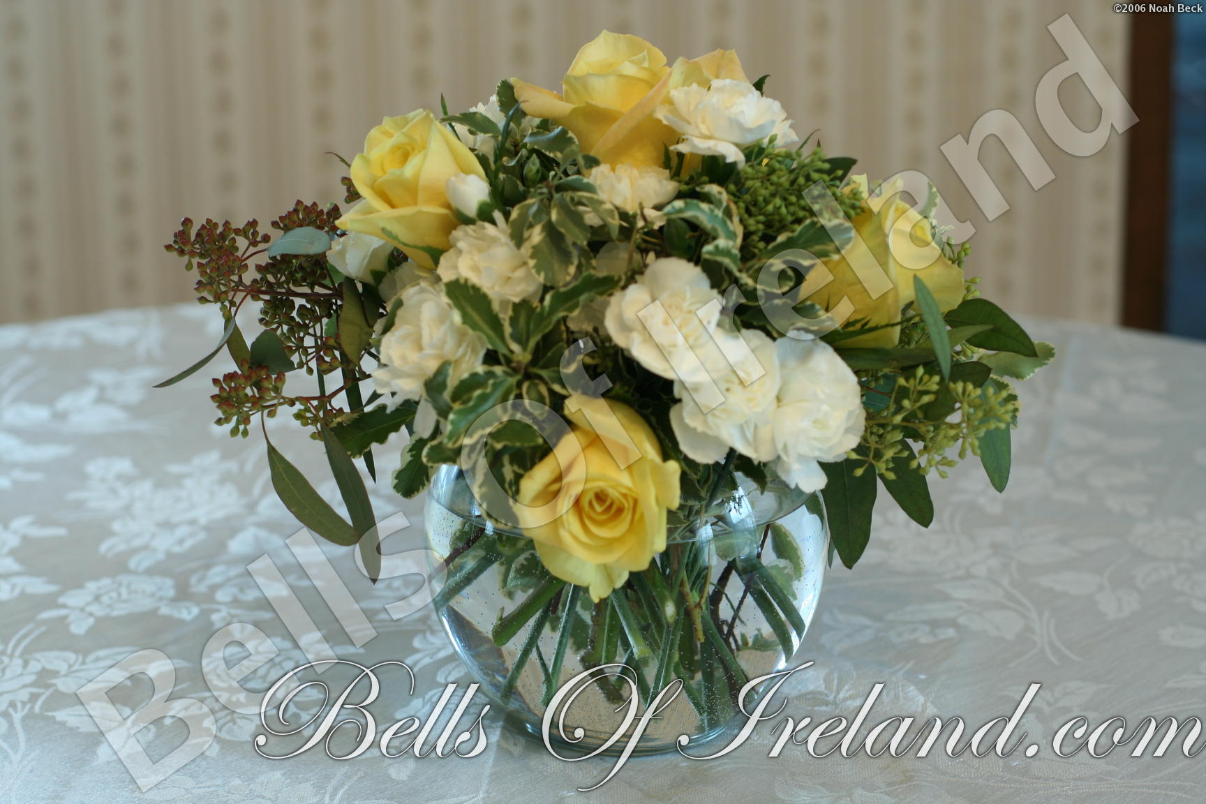 boi_2006-pic-006