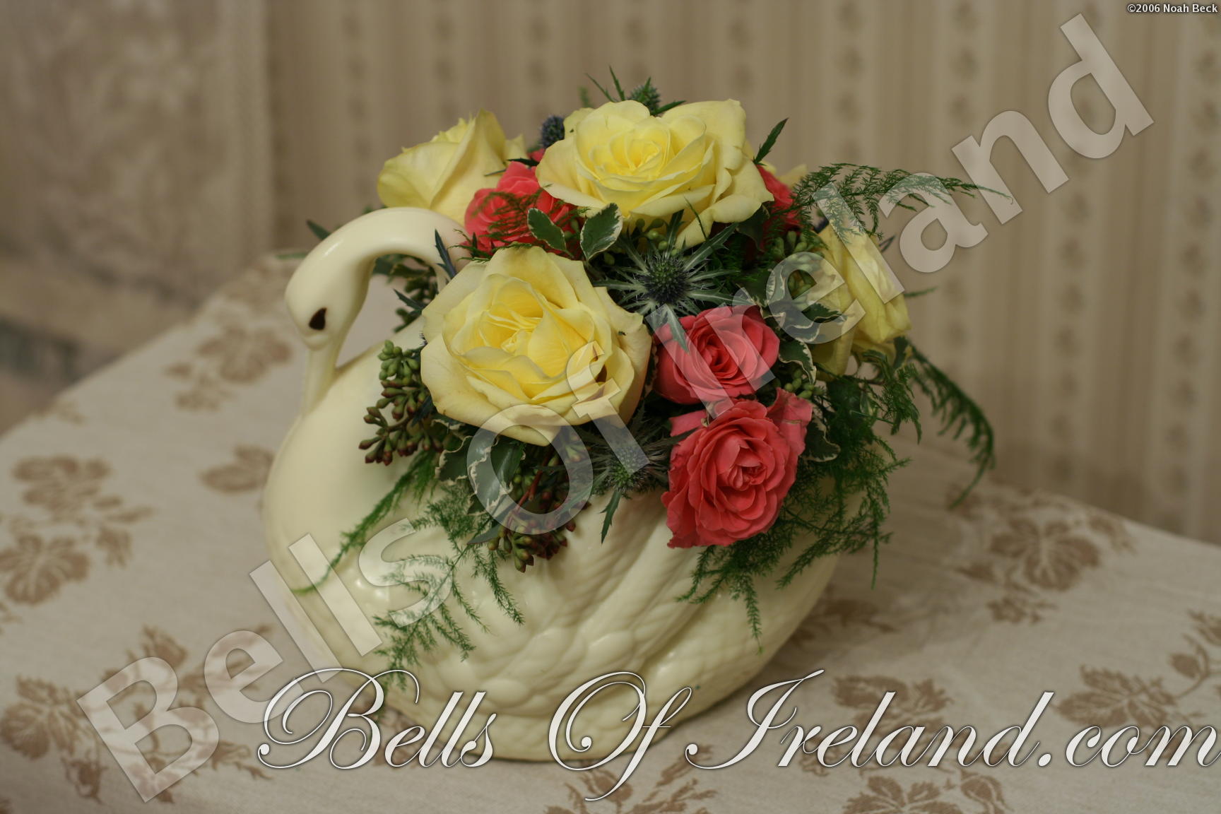 boi_2006-pic-008