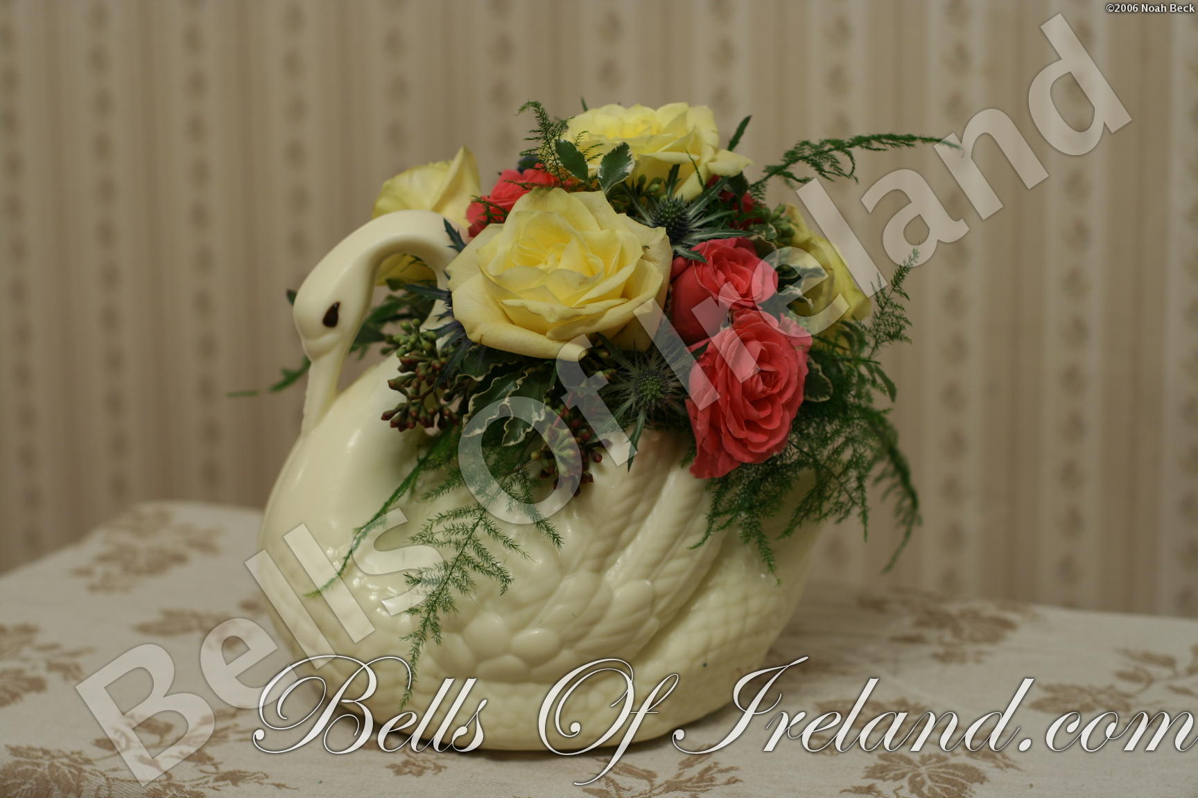 boi_2006-pic-009