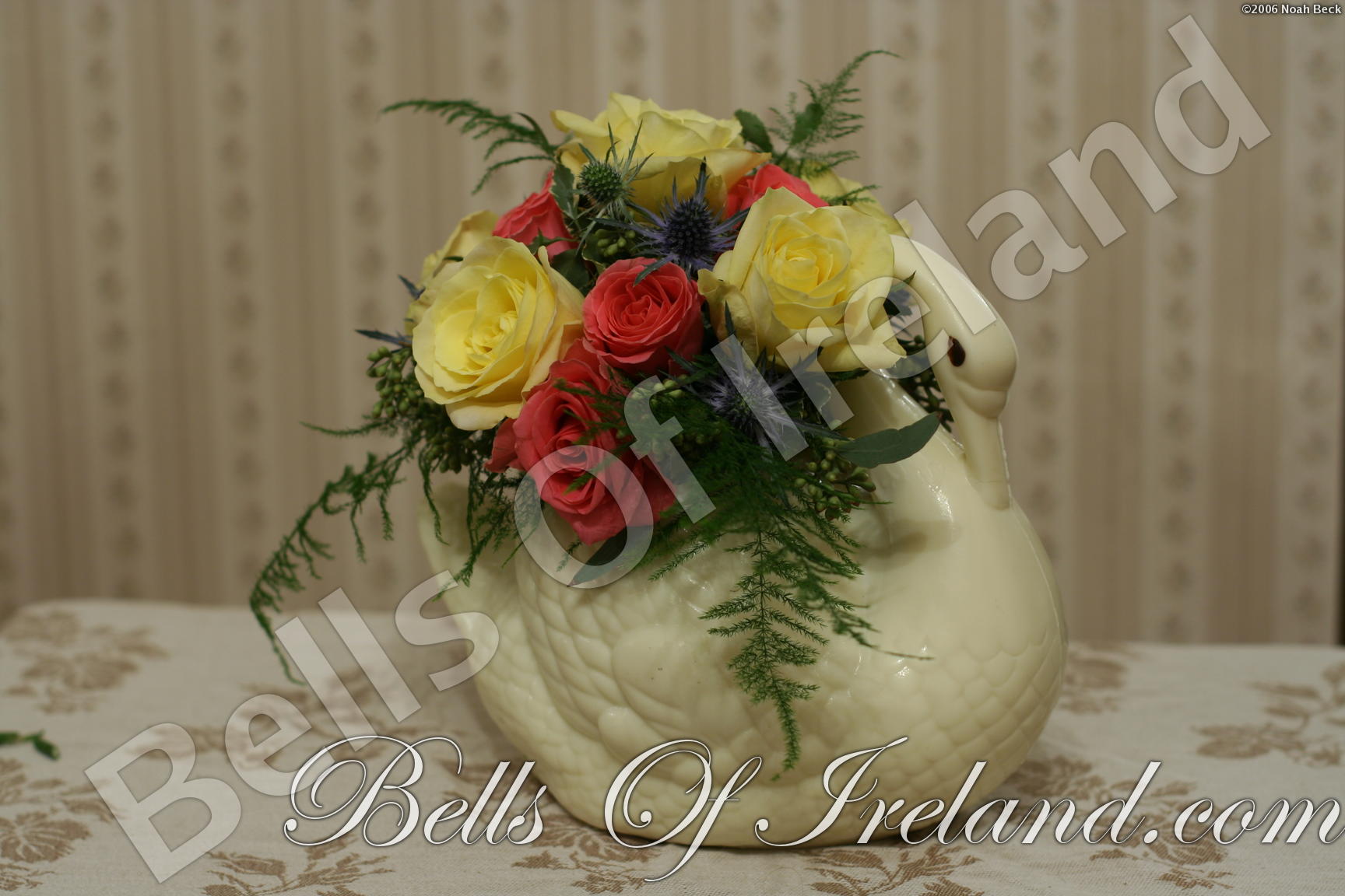boi_2006-pic-011