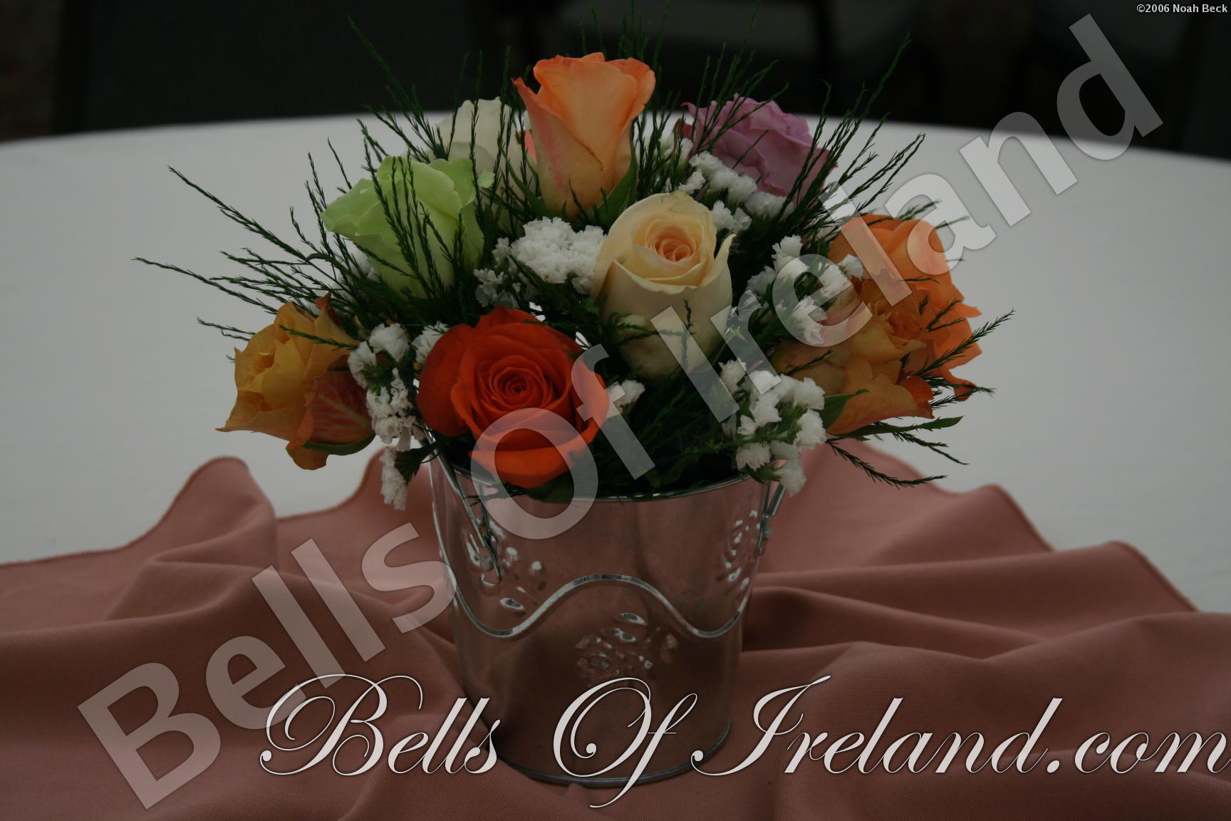 boi_2006b-pic-006