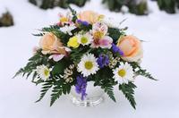 boi_misc-arrangements-10