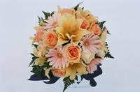 boi_misc-arrangements-4