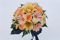 boi_misc-arrangements-5